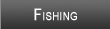 Belleville Lake Fishing